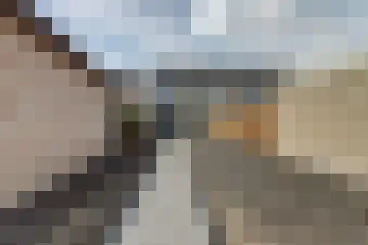 Antwerpsestraat 150 Putte thumbnail 25