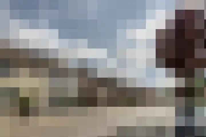 Antwerpsestraat 150 Putte thumbnail 33