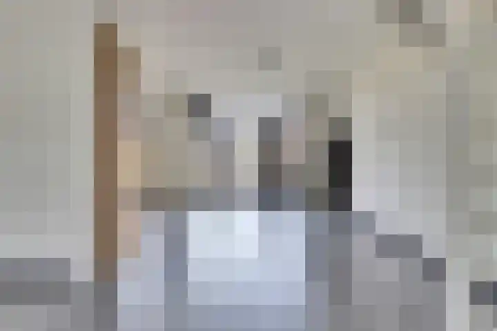Antwerpsestraat 150 Putte thumbnail 8