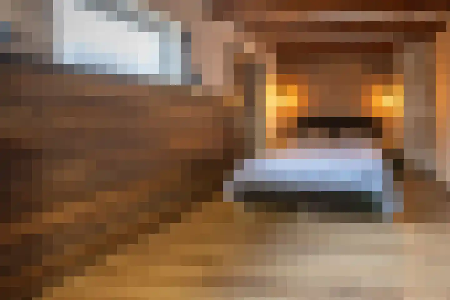 Antwerpsestraat 180 Putte thumbnail 25