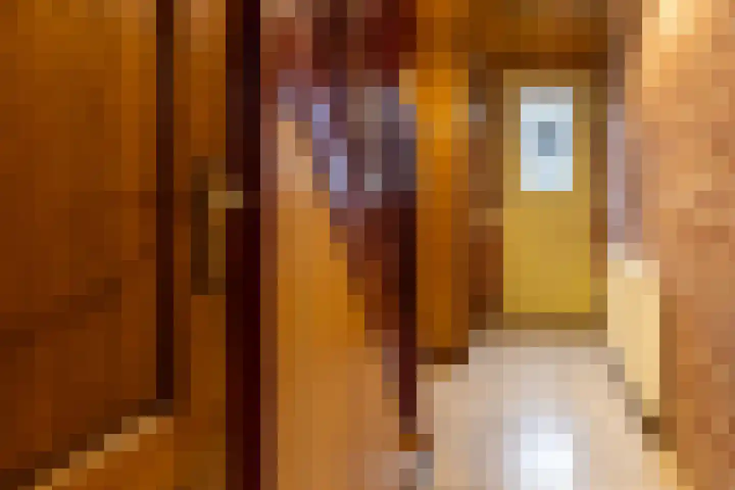 Antwerpsestraat 180 Putte thumbnail 6