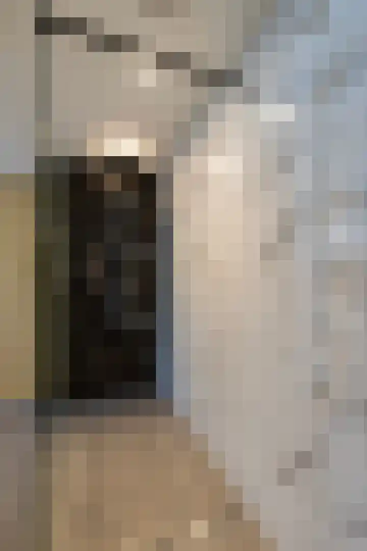 Antwerpsestraat 199 Putte thumbnail 16