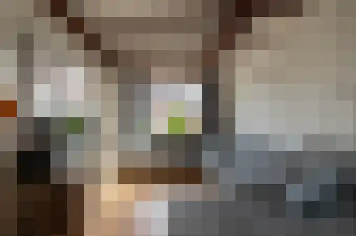 Antwerpsestraat 199 Putte thumbnail 5