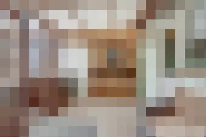Antwerpsestraat 200 Putte thumbnail 12