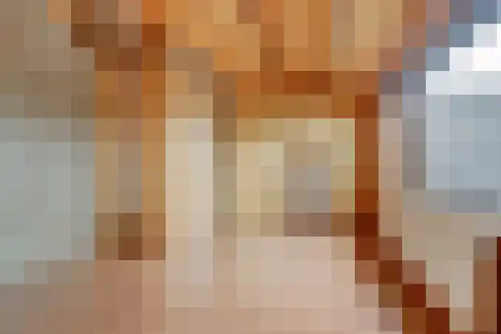 Antwerpsestraat 200 Putte thumbnail 17