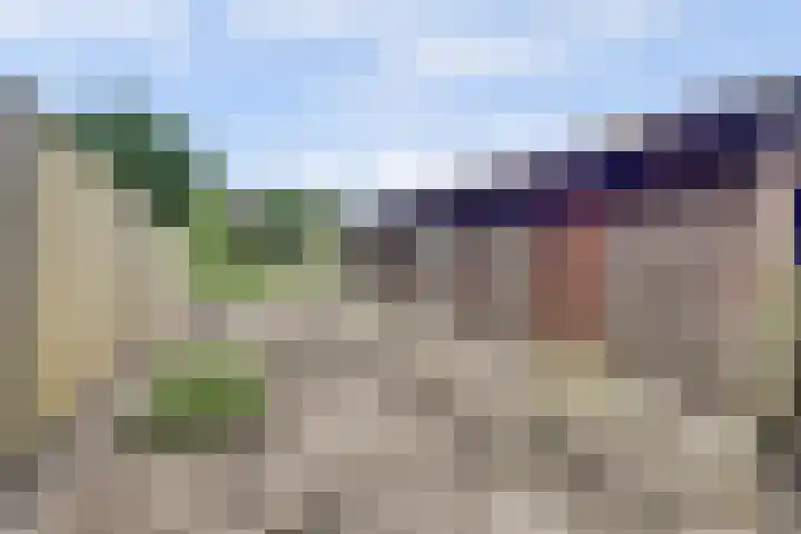 Antwerpsestraat 200 Putte thumbnail 20