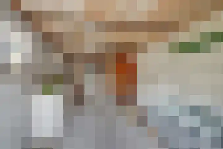 Antwerpsestraat 200 Putte thumbnail 22