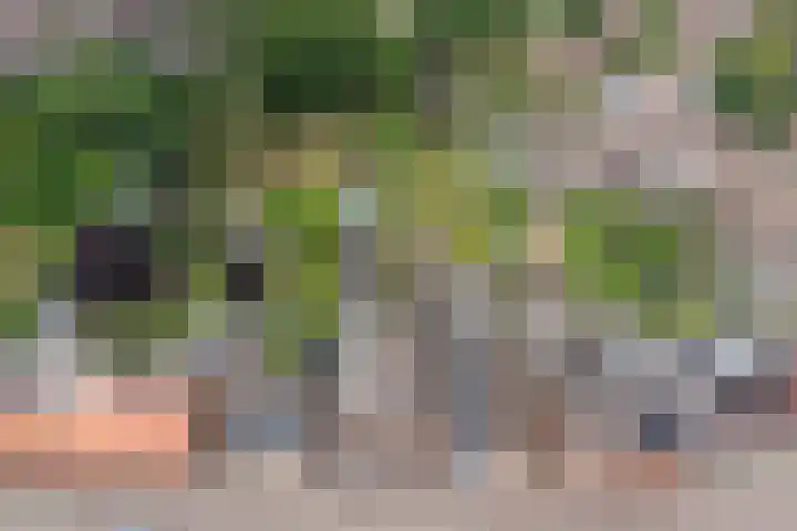 Antwerpsestraat 200 Putte thumbnail 28