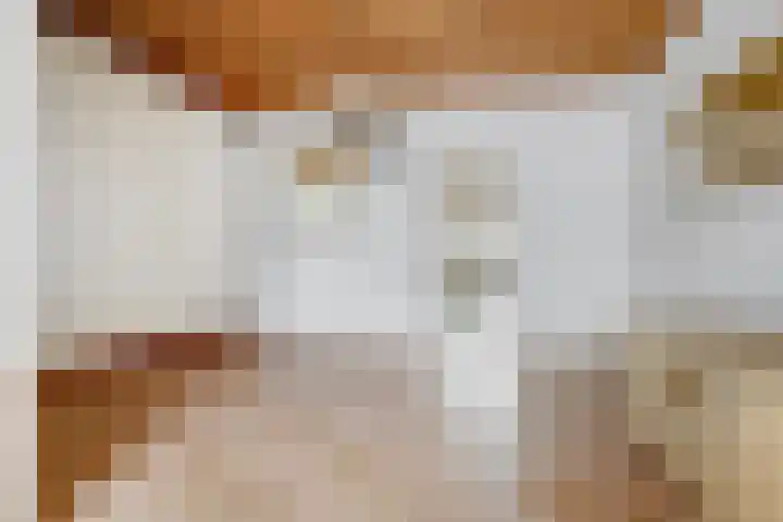 Antwerpsestraat 200 Putte thumbnail 5