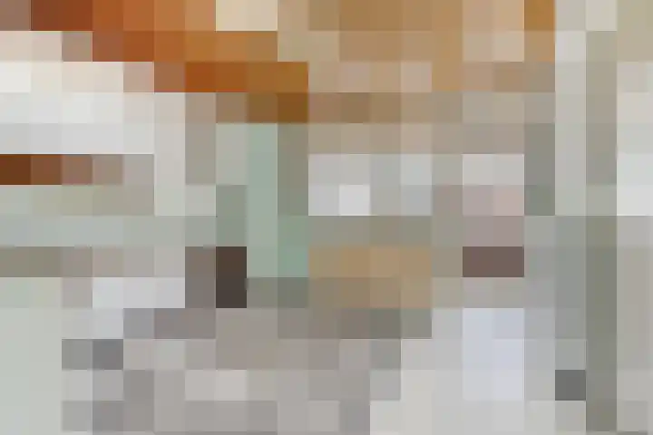 Antwerpsestraat 200 Putte thumbnail 8