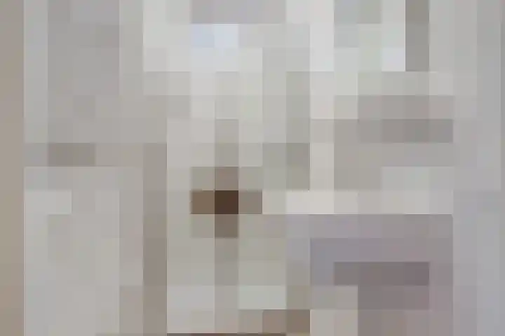 Antwerpsestraat 200 Putte thumbnail 9