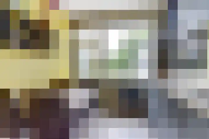 Antwerpsestraat 212 Putte thumbnail 11