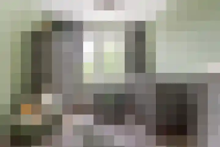 Antwerpsestraat 212 Putte thumbnail 15