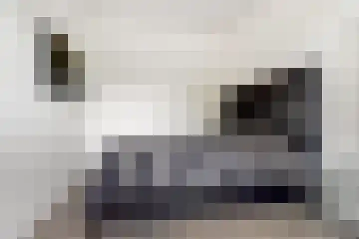 Antwerpsestraat 212 Putte thumbnail 21