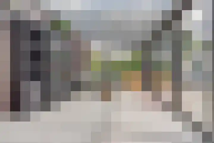 Antwerpsestraat 212 Putte thumbnail 7
