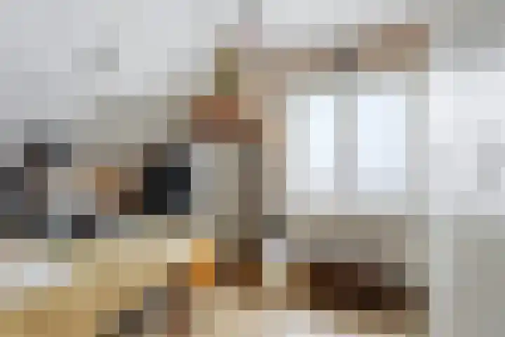Antwerpsestraat 214 Putte thumbnail 17