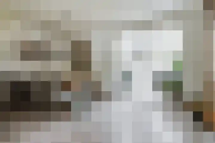 Antwerpsestraat 214 Putte thumbnail 5