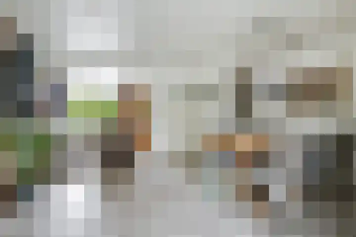 Antwerpsestraat 214 Putte thumbnail 6