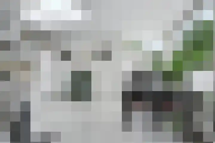Antwerpsestraat 214 Putte thumbnail 8