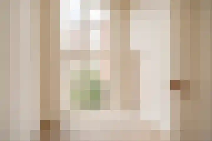 Antwerpsestraat 22 Den Haag thumbnail 38
