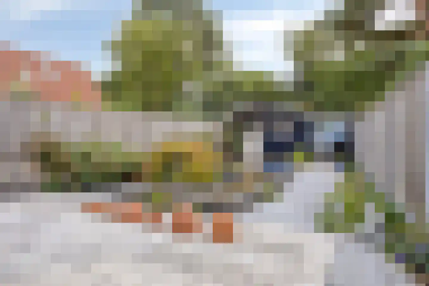 Antwerpsestraat 27 Made thumbnail 5