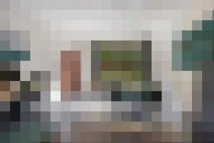 Antwerpsestraat 45 Bergen op Zoom thumbnail 14