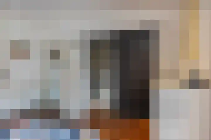 Antwerpsestraat 45 Bergen op Zoom thumbnail 33