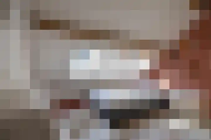 Antwerpsestraat 45 Bergen op Zoom thumbnail 38