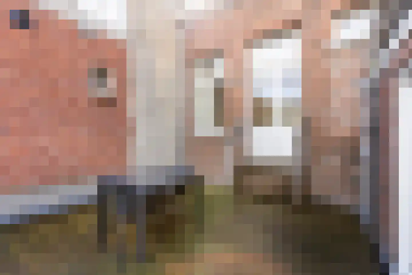 Antwerpsestraat 5 a Bergen op Zoom thumbnail 5