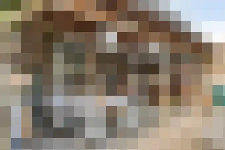 Antwerpsestraat 50 Made thumbnail 33