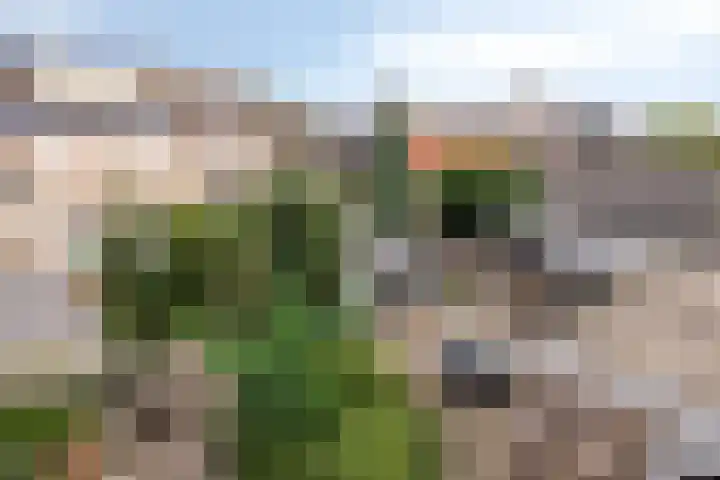 Antwerpsestraat 50 Made thumbnail 35