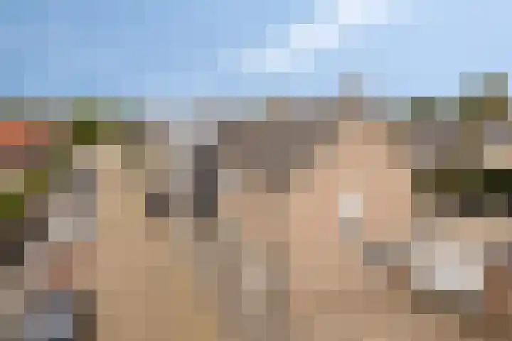 Antwerpsestraat 50 Made thumbnail 38