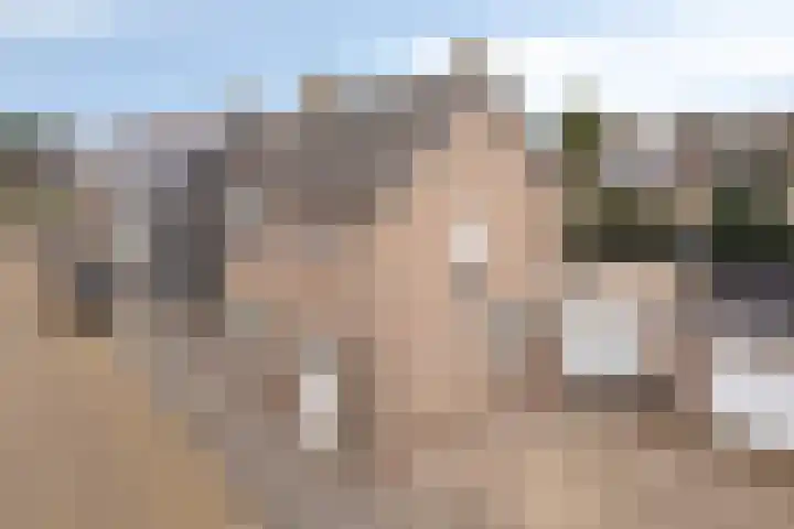 Antwerpsestraat 50 Made thumbnail 4