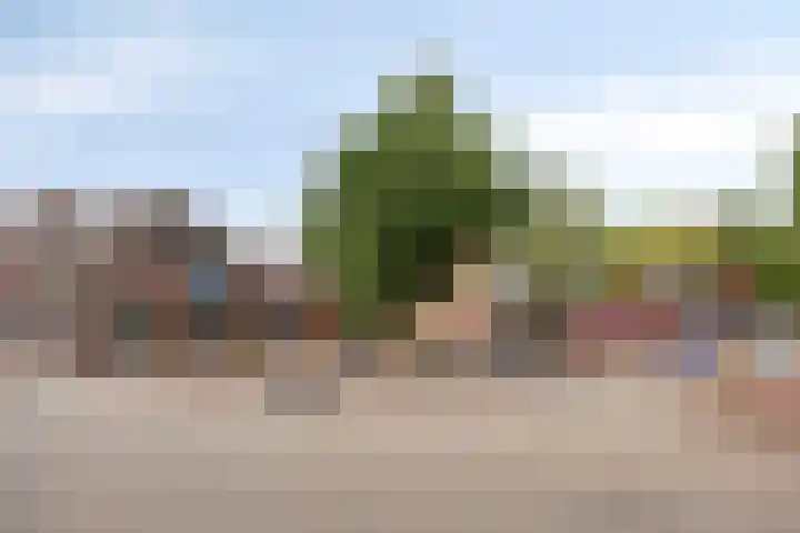 Antwerpsestraat 50 Made thumbnail 42