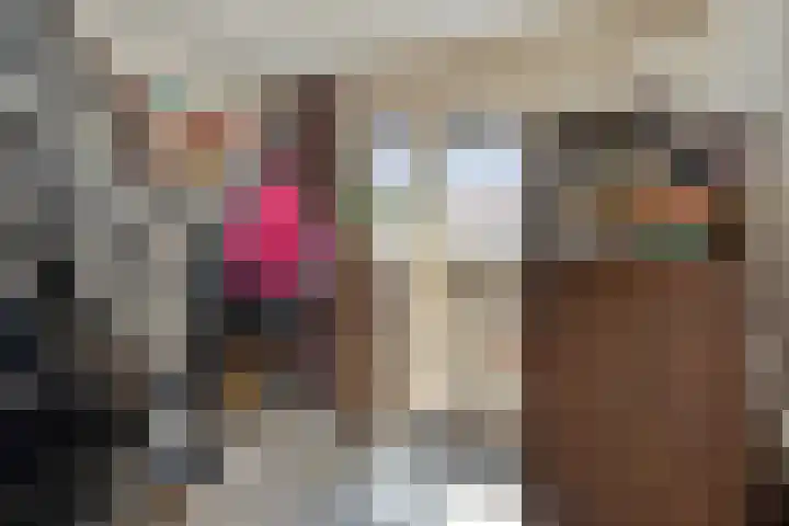 Antwerpsestraat 50 Made thumbnail 9