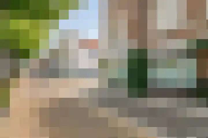 Antwerpsestraat 78 Bergen op Zoom thumbnail 38