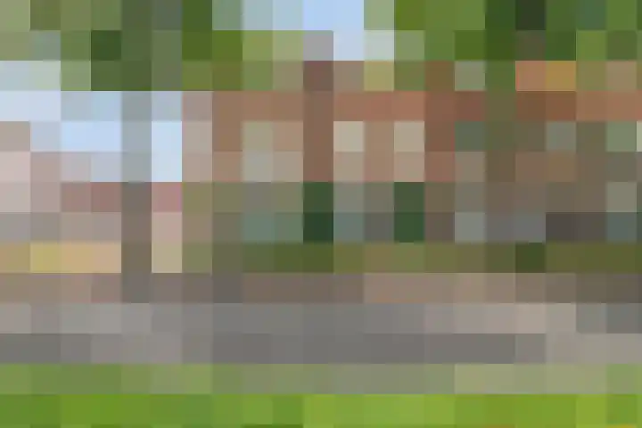 Antwerpsestraat 78 Bergen op Zoom thumbnail 41