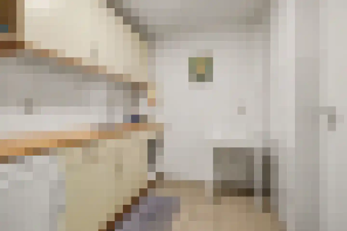 Antwerpsestraat 8 a Putte thumbnail 33