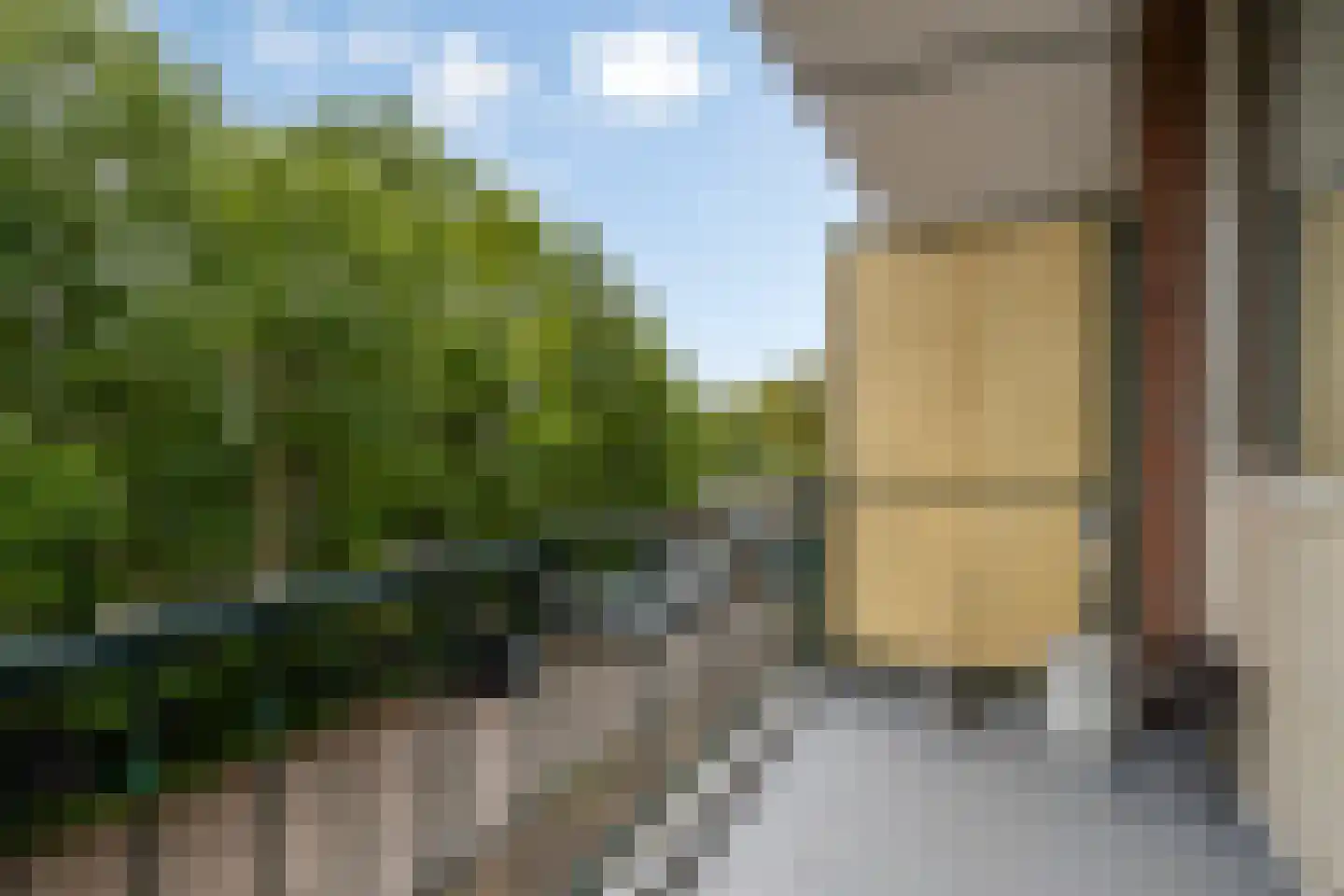 Antwerpsestraat 81 Bergen op Zoom thumbnail 15