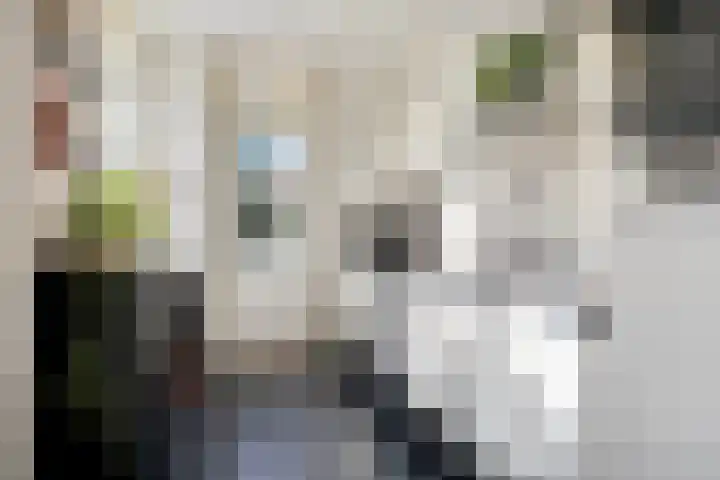 Antwerpsestraat 84 Bergen op Zoom thumbnail 18