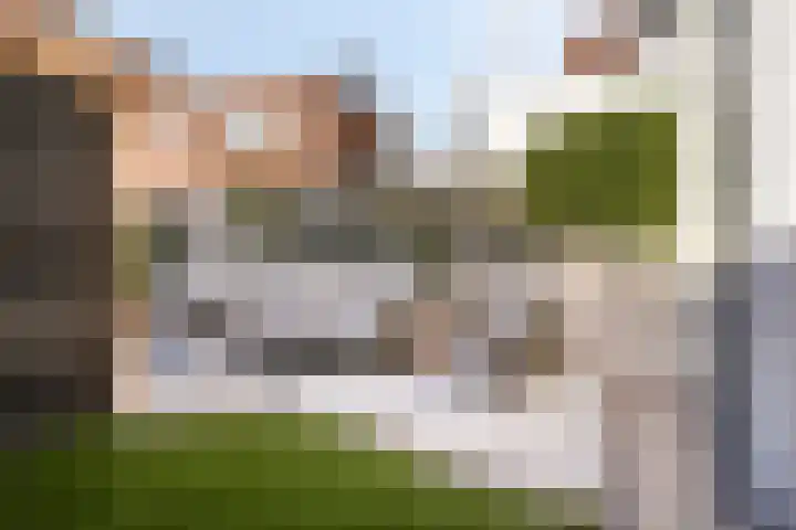 Antwerpsestraat 84 Bergen op Zoom thumbnail 39