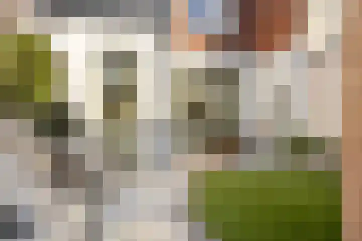 Antwerpsestraat 84 Bergen op Zoom thumbnail 4
