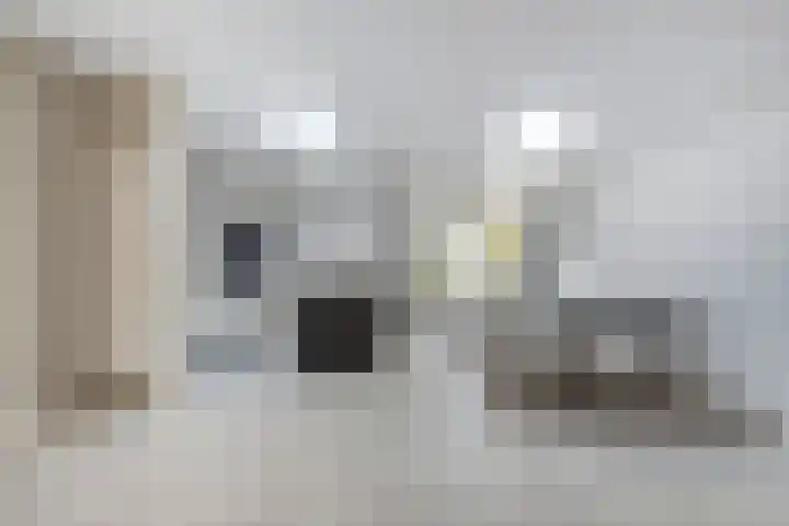 Antwerpsestraat 85 Putte thumbnail 14