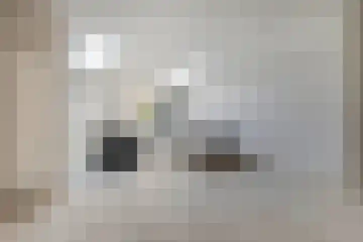 Antwerpsestraat 85 Putte thumbnail 16