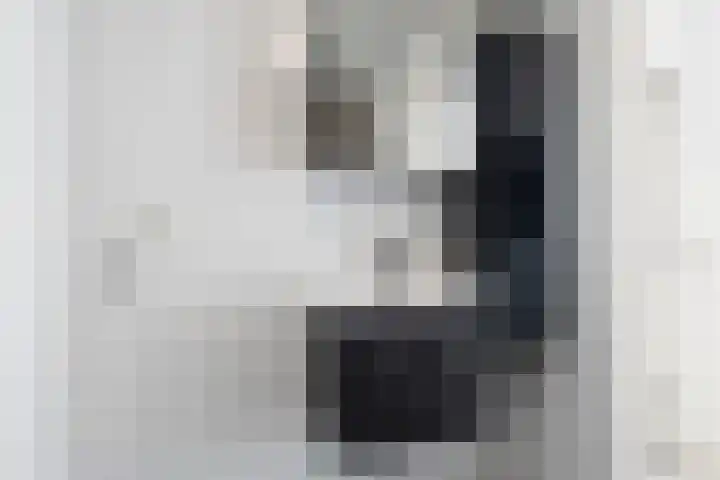 Antwerpsestraat 85 Putte thumbnail 21