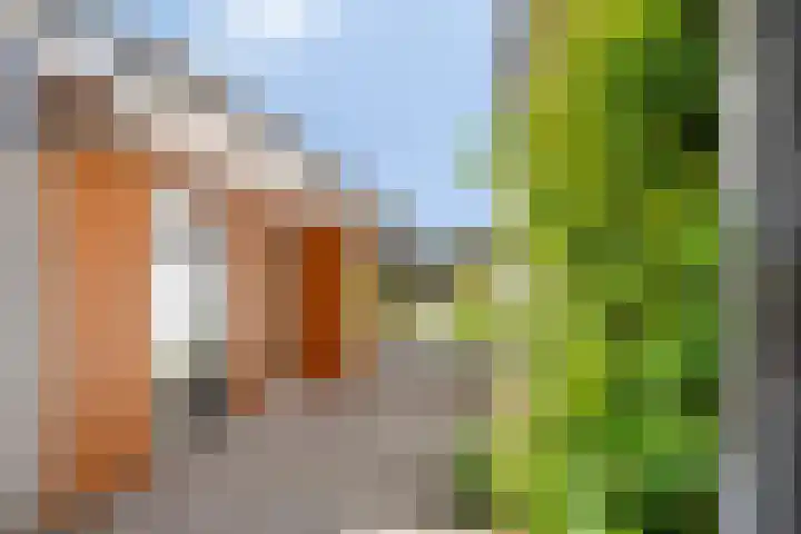 Antwerpsestraat 85 Putte thumbnail 33
