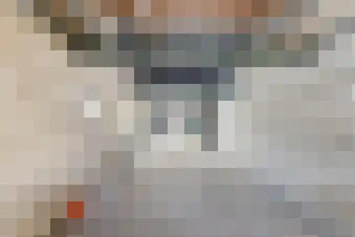 Antwerpsestraat 85 Putte thumbnail 38