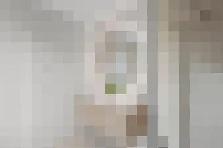 Antwerpsestraat 90 Putte thumbnail 18