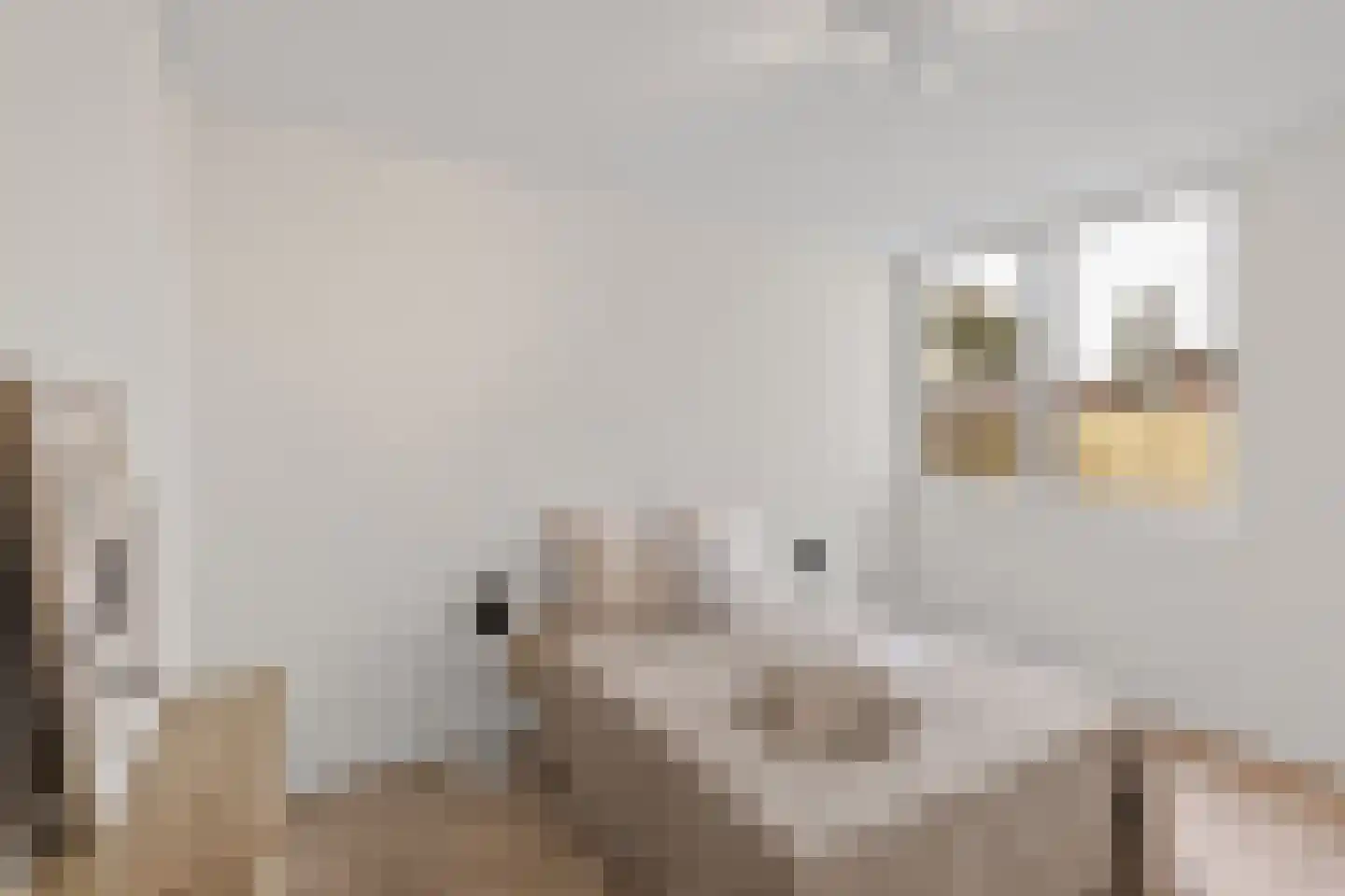 Antwerpsestraat 90 Putte thumbnail 19