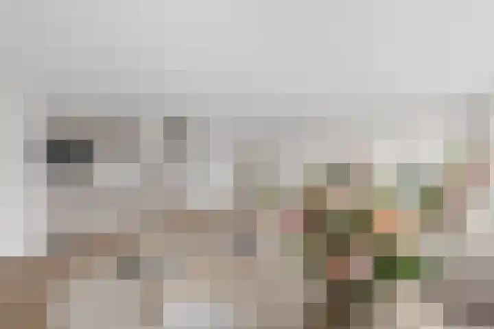 Antwerpsestraat 90 Putte thumbnail 4